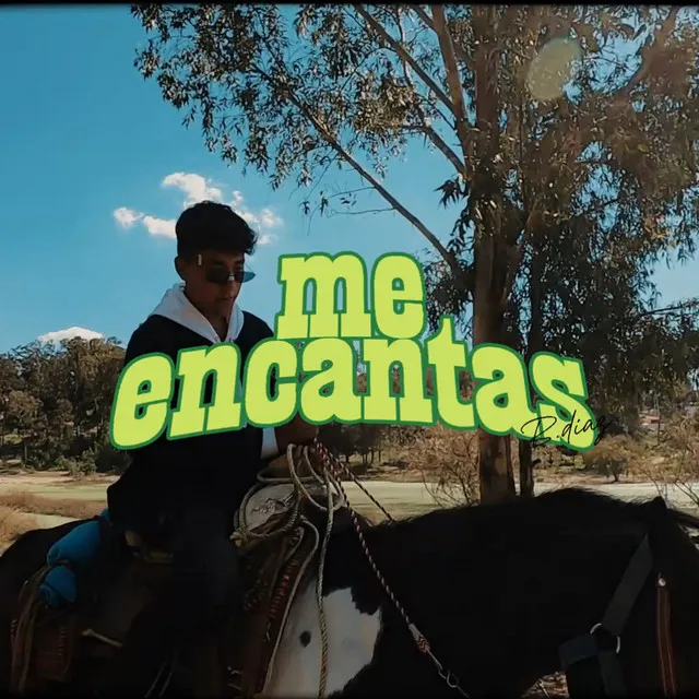 Me Encantas