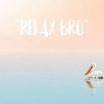 Relax Bro by Vgbases