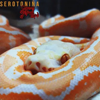 Serotoniña by Sapiens Suspectum