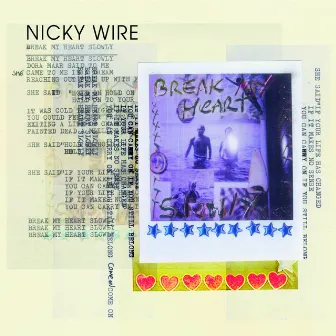 Break My Heart Slowly by Nicky Wire