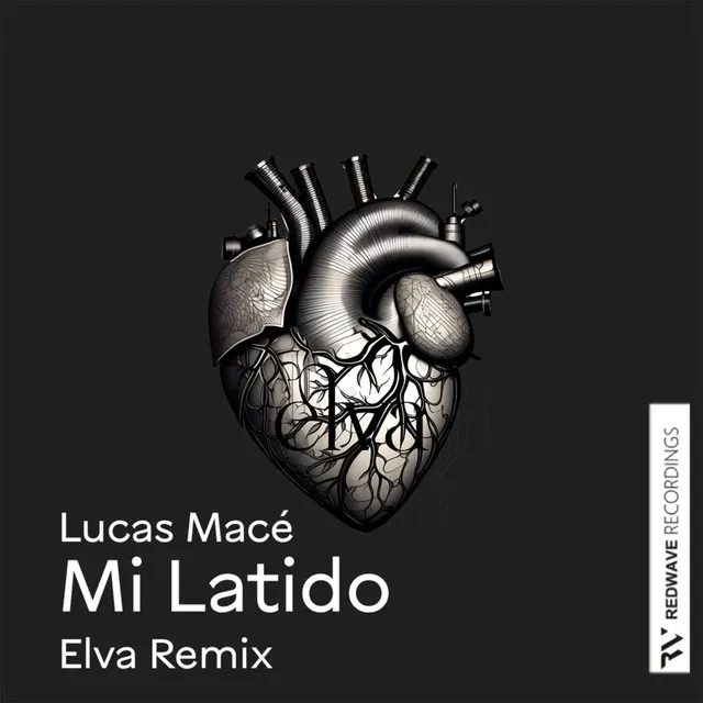 Mi Latido - Elva Remix