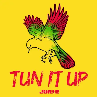 Tun It Up by Jurab