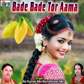 Bade Bade Tor Aama by 