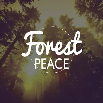 Forest Peace by Bruits naturels