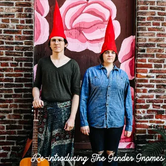 Re-Introducing The Gender Gnomes by The Gender Gnomes