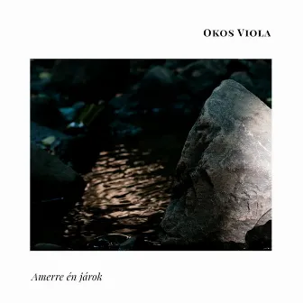 Amerre én járok by Okos Viola