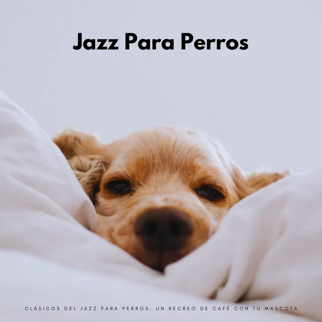 Clásicos Del Jazz Para Perros: Un Recreo De Café Con Tu Mascota