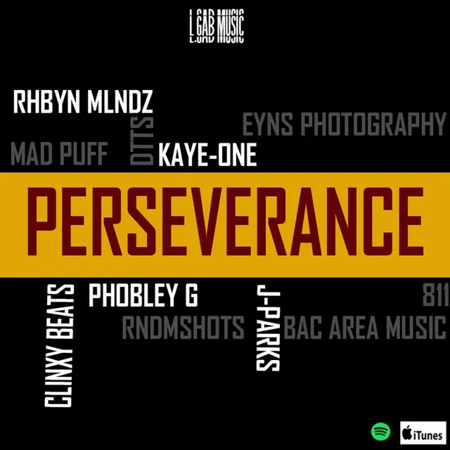 Perseverance