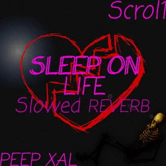 Sleep on Life (Slowed&Reverb) by Scrol1