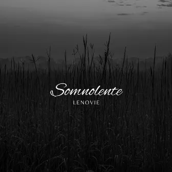 Somnolente by Lenovie