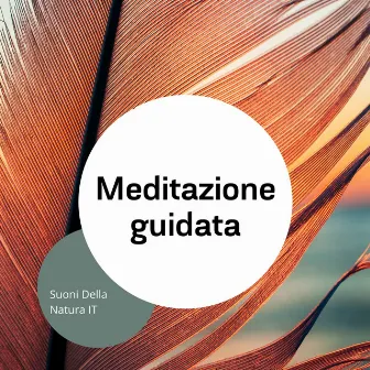 Meditazione guidata - Rilassamento con musica terapeutica by Suoni Della Natura IT