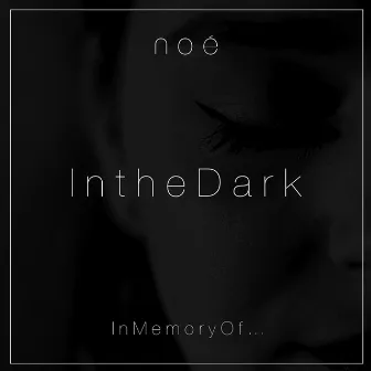 In the Dark by Noé