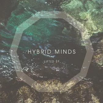 Lifted by Hybrid Minds