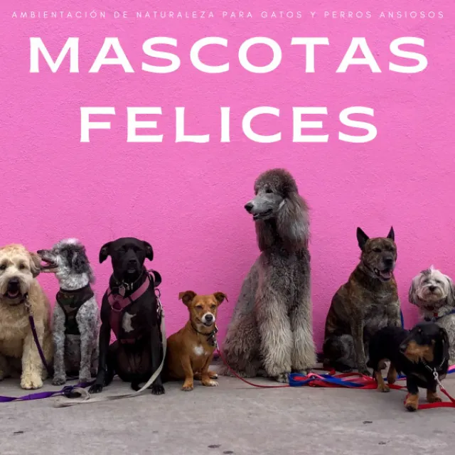 Mascotas Felices: Ambientación De Naturaleza Para Gatos y Perros Ansiosos