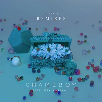 Trippin (Remixes) (feat. Max Marshall) by Shameboy