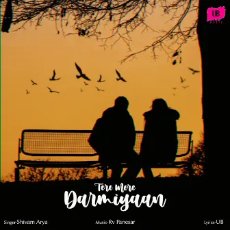 Tere Mere Darmiyaan by Shivam Arya