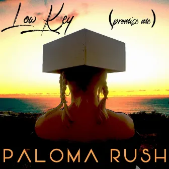 Low Key (Promise Me) by Paloma Rush