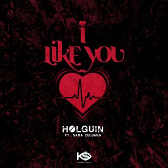 I Like You by Holguin