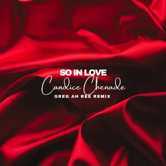 SoInLove (Remix) by Greg Ah Ree