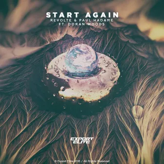 Start Again by Revolte