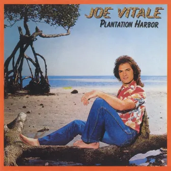 Plantation Harbor by Joe Vitale