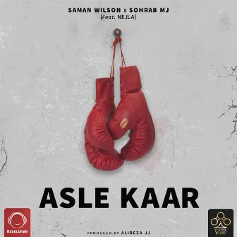 Asle Kaar by Saman Wilson