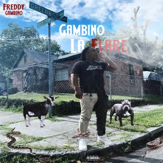 Gambino LaFlare by Freddy Gambino