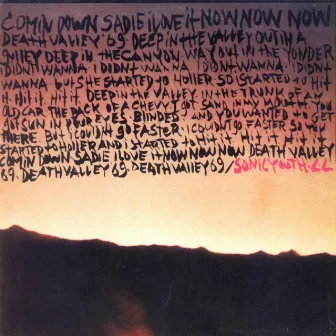 Death Valley '69 / Brave Men Run (In My Family) by Lydia Lunch