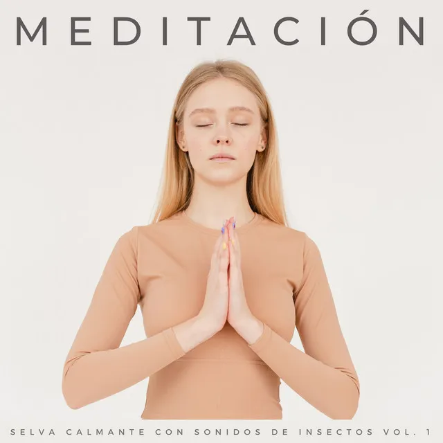 Meditación: Selva Calmante Con Sonidos De Insectos Vol. 1