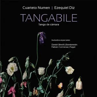 Tangabile by Ezequiel Diz