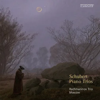 Schubert: Piano Trios by Moscow Rachmaninov Trio