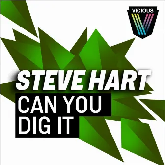 Can You Dig It by Steve Hart