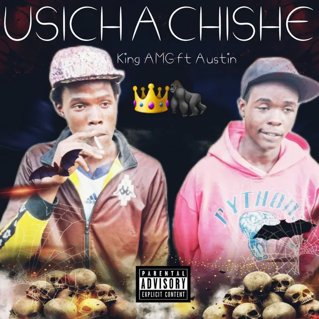 Usichachishe