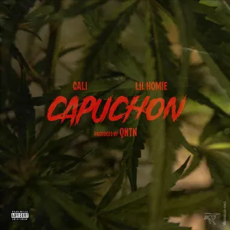 Capuchon by Cali