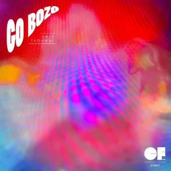 Go Bozo by Amir Yaghmai