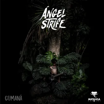 Cumaná by Ángel Strife