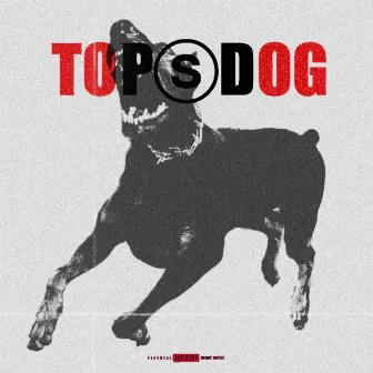 TOP DOG by Jekyll