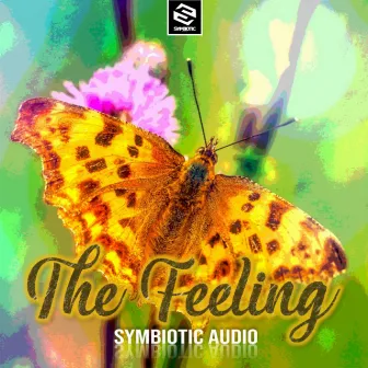 The Feeling by Symbiotic Audio