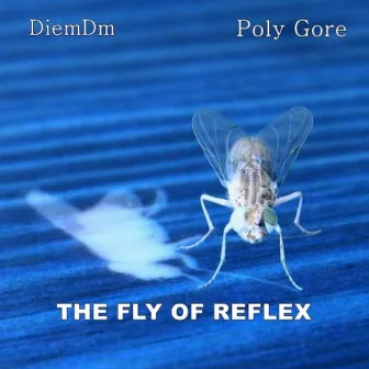 the fly of reflex by Poly Gore