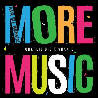 More Music - Mr Dj Remix by Shanie