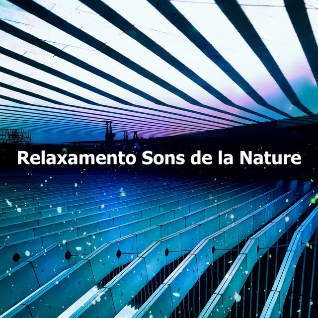 Relaxamento Sons de la Nature