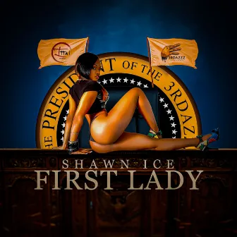 First Lady by Shawn Ice