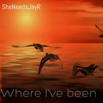 Where I've Been by SheNeedsJayr