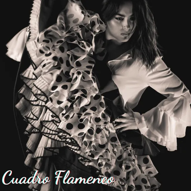 Cuadro Flamenco