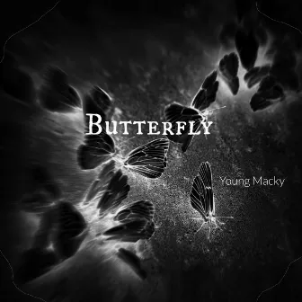 Butterflies by Young Macky