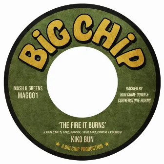 The Fire It Burns by Big Chip