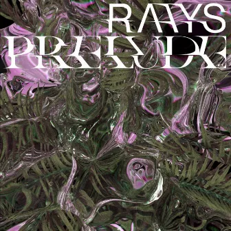 Prelude by Raays