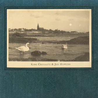 Third Swan by King Creosote