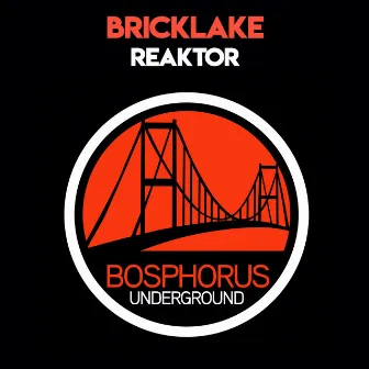 Reaktor by Bricklake