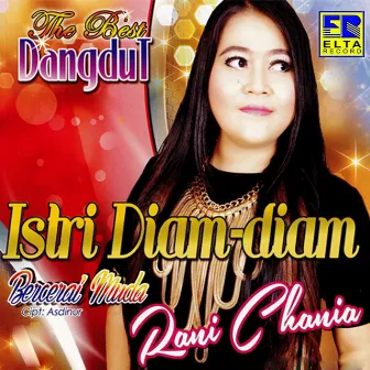 Istri Diam Diam by Rani Chania